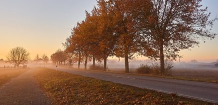 Sprawdź jakość powietrza