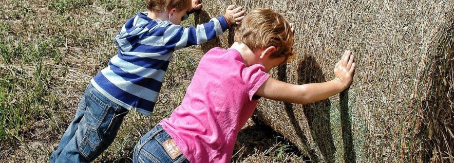 Wielkopolski Rolnik Roku – trwa nabór kandydatów