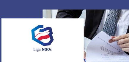 Weź udział w Lidze NGOs!