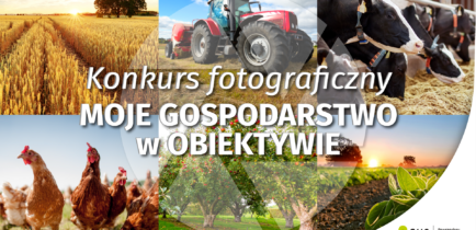 Weź udział w konkursie
