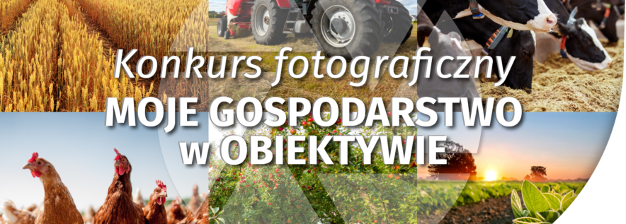 Weź udział w konkursie
