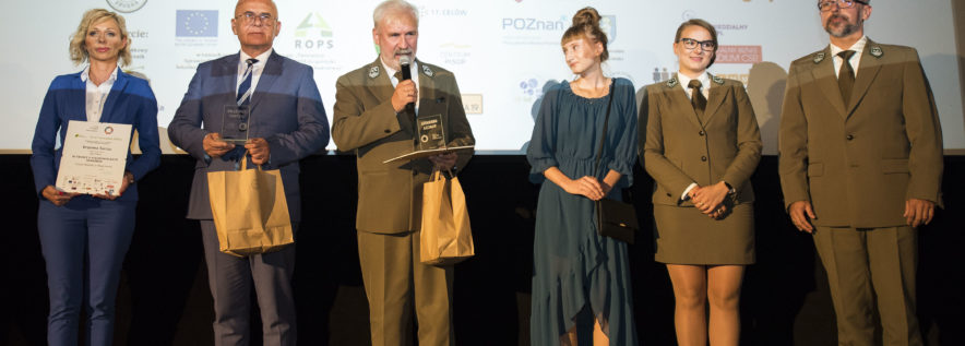 Z lasu wzięte…