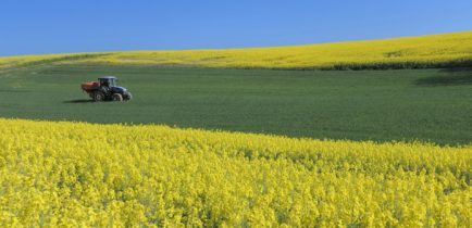 Gmina nie podniesie podatku rolnego