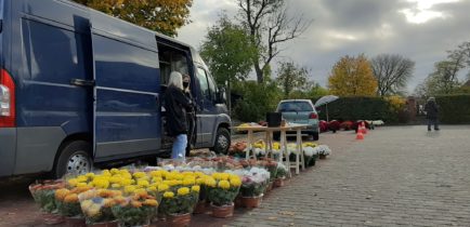 Odwiedzasz groby bliskich? Kwiaty kupisz przy cmentarzu