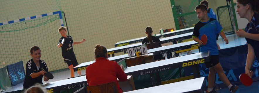 Rozstrzygnięto konkursy ofert na realizację zadań publicznych – sport dzieci i młodzieży