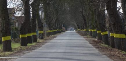 Walka ze szrotówkiem
