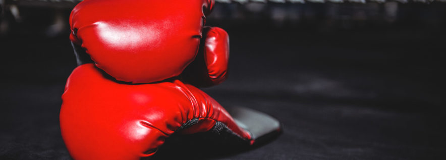 Gala Biznes Boxing Polska z udziałem mieszkańca Gminy Oborniki
