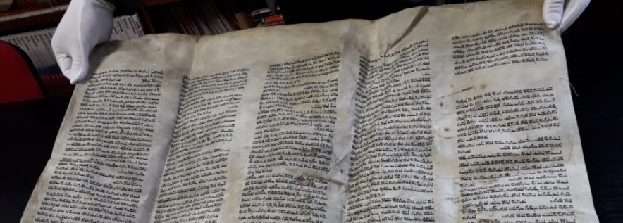 Cenne znalezisko ujrzy światło dzienne