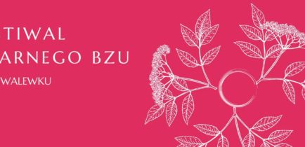 Festiwal Czarnego bzu w Kowalewku