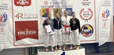 Srebrny medal z mistrzostw Polski w karate dla Obornickiego Klubu Karate