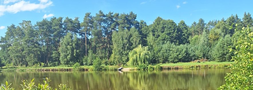 Zaproszenie