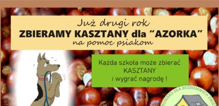 Akcja zbieramy kasztany dla Schroniska „AZOREK”