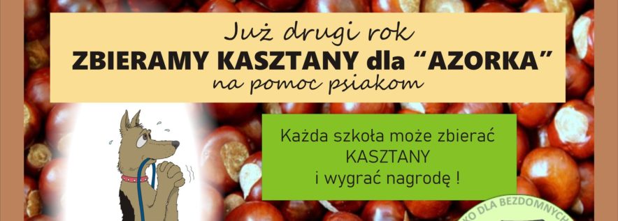 Akcja zbieramy kasztany dla Schroniska „AZOREK”