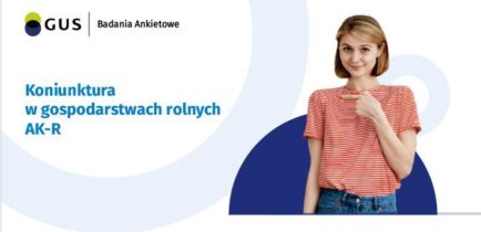 Badanie aktywności ekonomicznej ludności BAEL