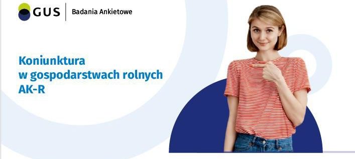 Badanie aktywności ekonomicznej ludności BAEL
