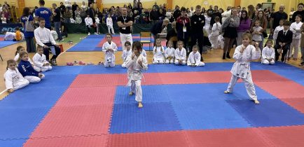 Aktualności - Grad medali z turnieju w Ostrorogu