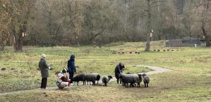 Aktualności - One Health Polska nowym partnerem obornickich kart