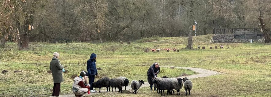 One Health Polska nowym partne