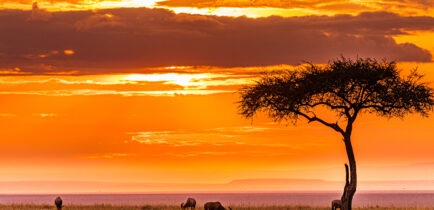 Aktualności - Cykl „Biblioteka oknem na świat” powraca!