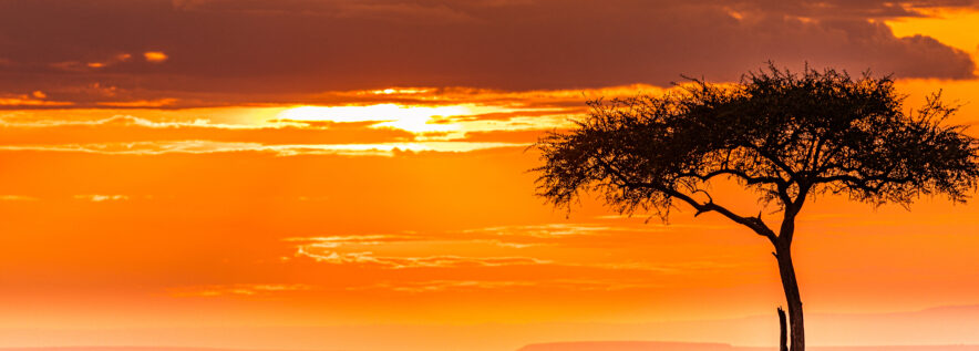 Cykl „Biblioteka oknem na świa