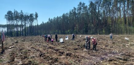 Aktualności - Wspólne sadzenie lasu w Nadleśnictwie Oborniki