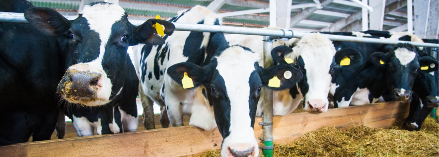 Komunikat Powiatowego Lekarza 