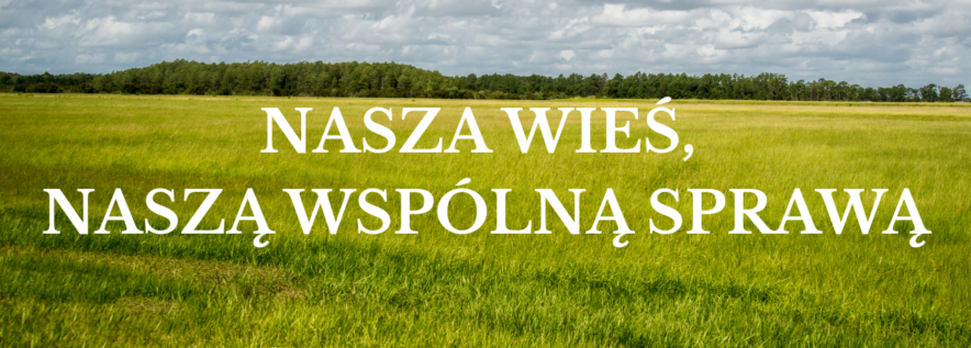 „Wielkopolska Odnowa Wsi 2020+