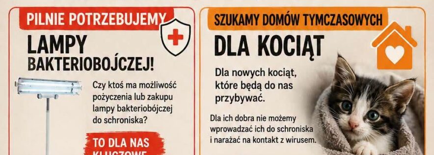 Pilny apel Schroniska Azorek –