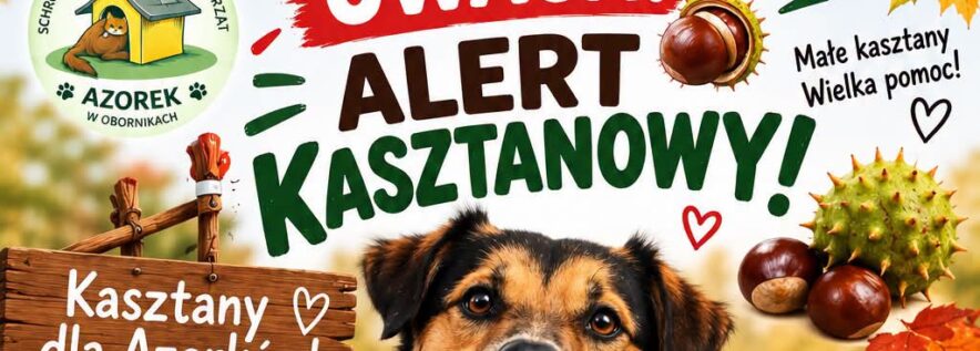 Kasztany dla Azorków – trwa je
