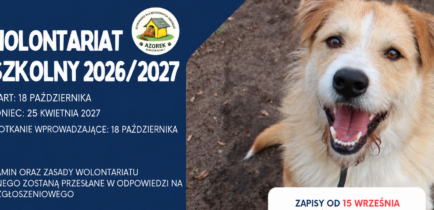 Aktualności - Rusza szkolny wolontariat w Schronisku Azorek