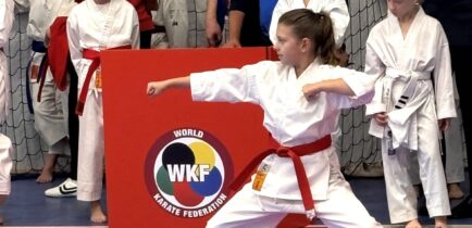 Aktualności - Świetny występ zawodników Obornickiego Klubu Karate!
