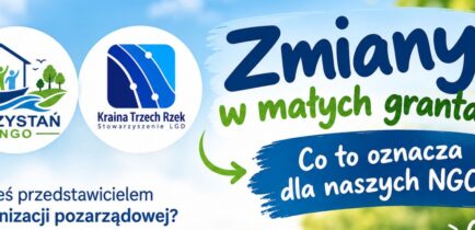 Aktualności - MAŁE GRANTY – CO SIĘ ZMIENIŁO?