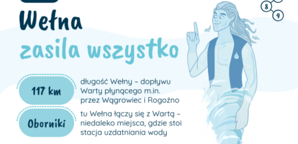Aktualności - Wełna zasila wszystko
