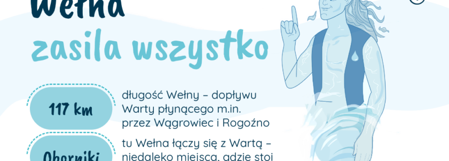 Wełna zasila wszystko